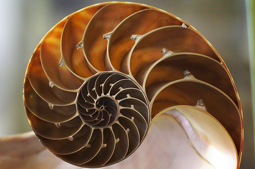 Quantum Golden Ratio » ISO50 Blog – The Blog of Scott Hansen (Tycho ...